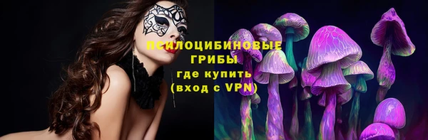 mdpv Алзамай